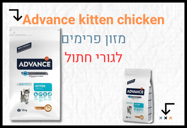 אוכל גורי חתולים Advance